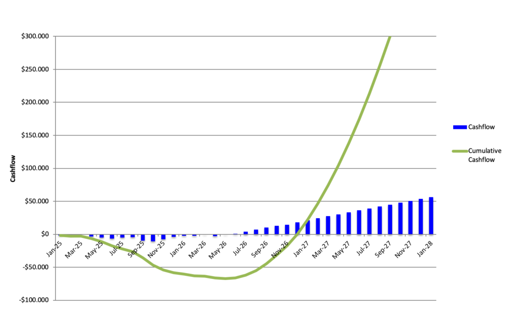 International market entry cash flow